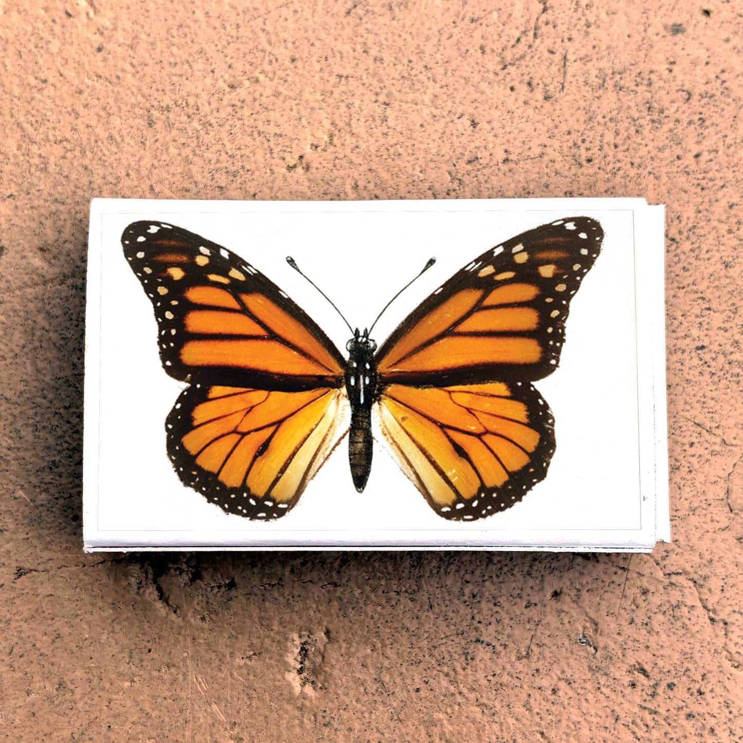 Matches • Monarch Butterfly•Home Decor for Candles & Incense