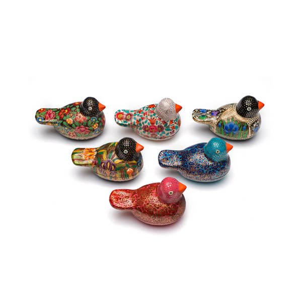 Paradise Parakeet Box - Assorted (Set of 6)