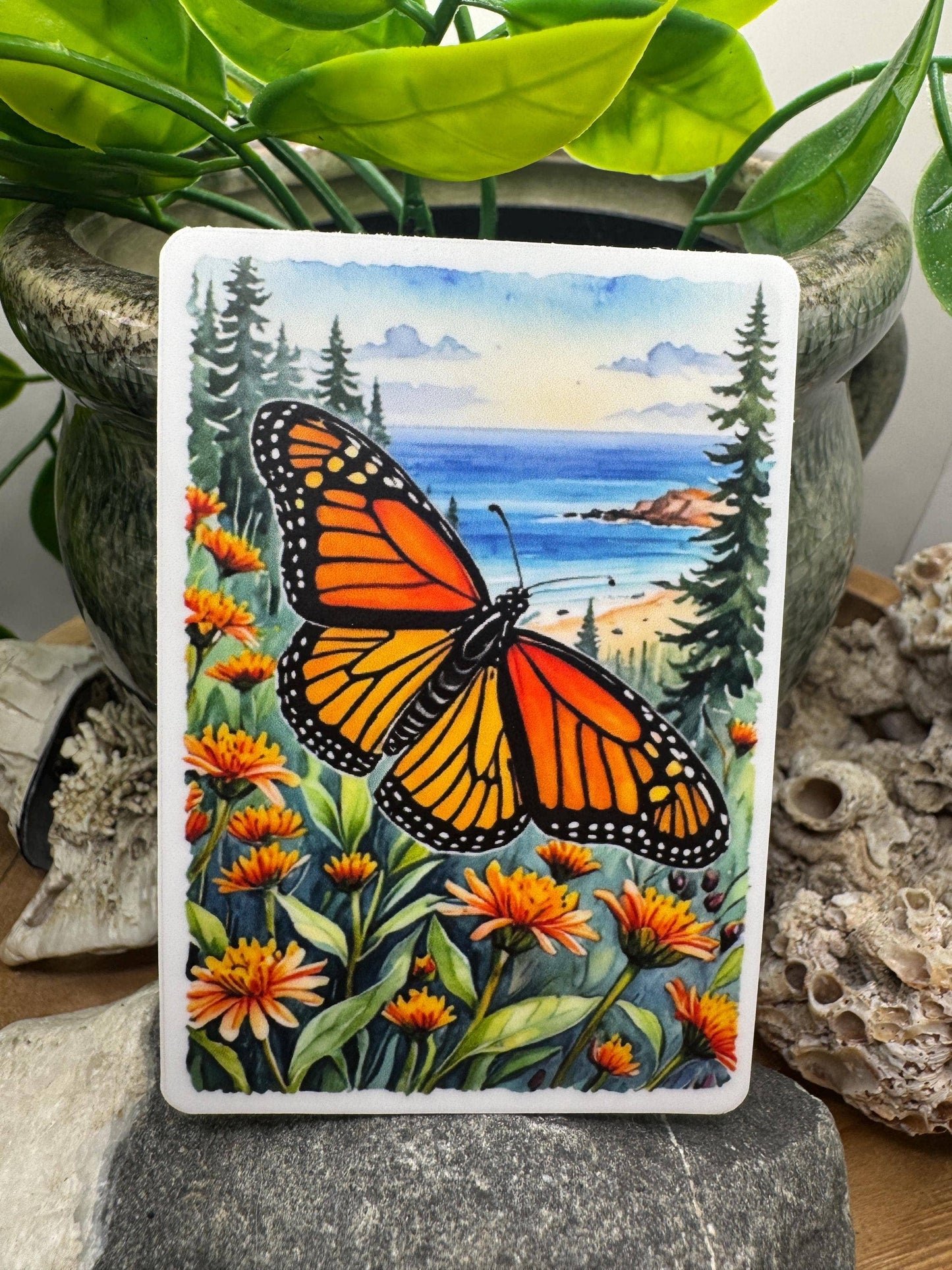 California Monarch Butterfly Sticker: Waterproof Vinyl Decal