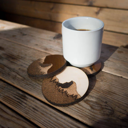 Yosemite Coasters: Dark