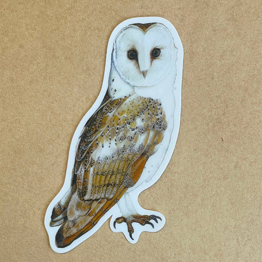 Barn Owl Vinyl STICKER